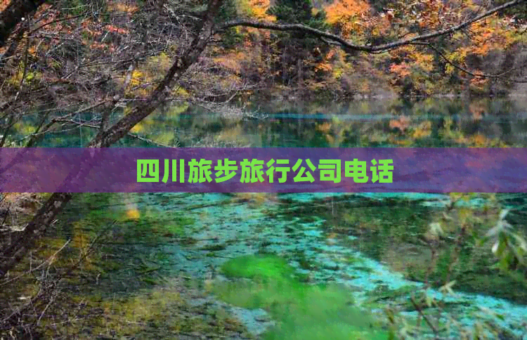 四川旅步旅行公司 旅行社服務(wù)網(wǎng)點(diǎn)旅游招徠與聯(lián)系方式